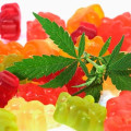 Can cbd gummy bears make you high?