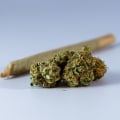 The Benefits Of Consuming Gary Payton Flower Over Medical Edibles In Queens