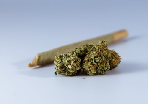 The Benefits Of Consuming Gary Payton Flower Over Medical Edibles In Queens